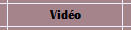 Vido